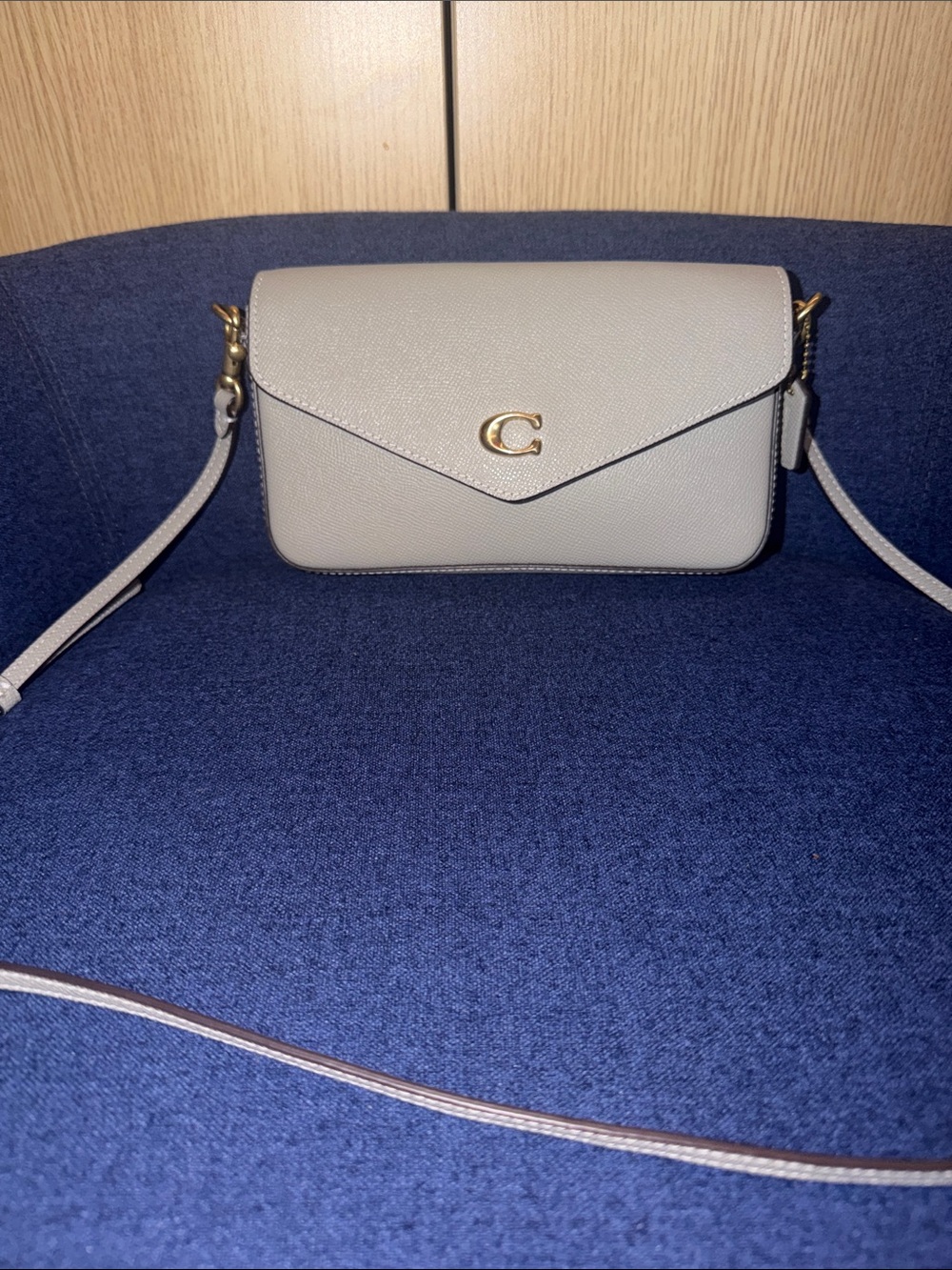‼️Coach Grey Leather Wyn Crossbody Bag